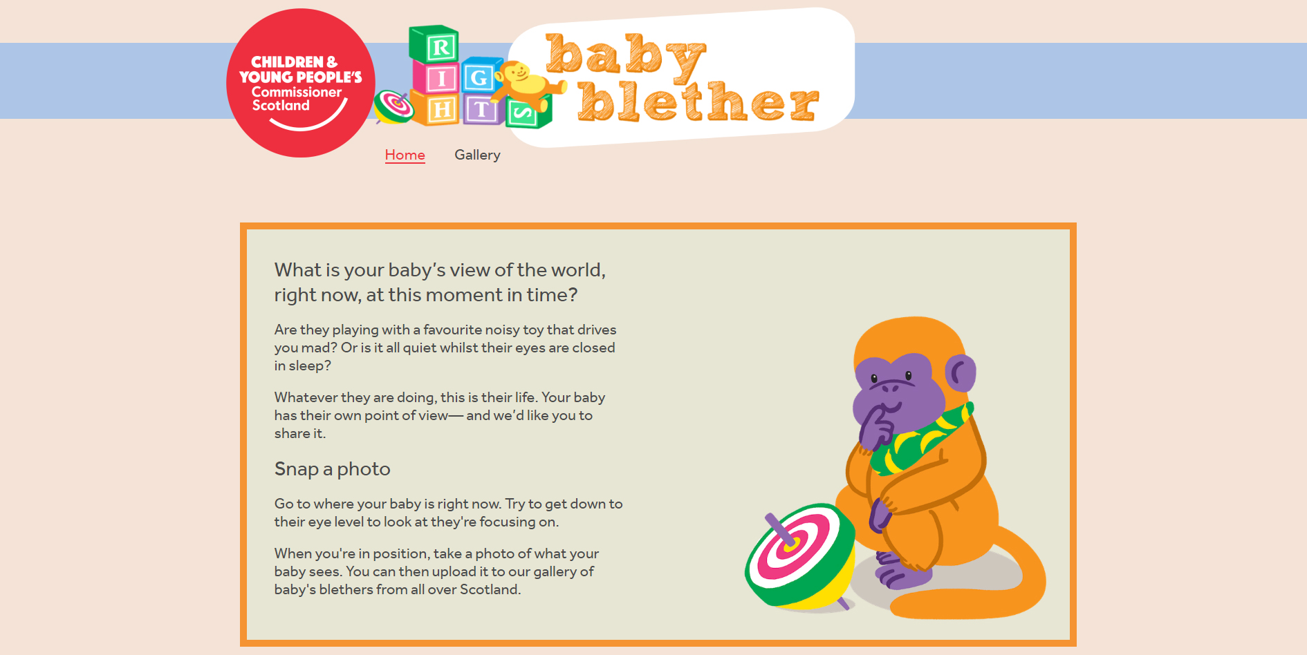 bb website.jpg