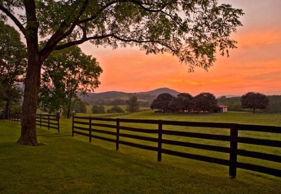 Marriott Ranch