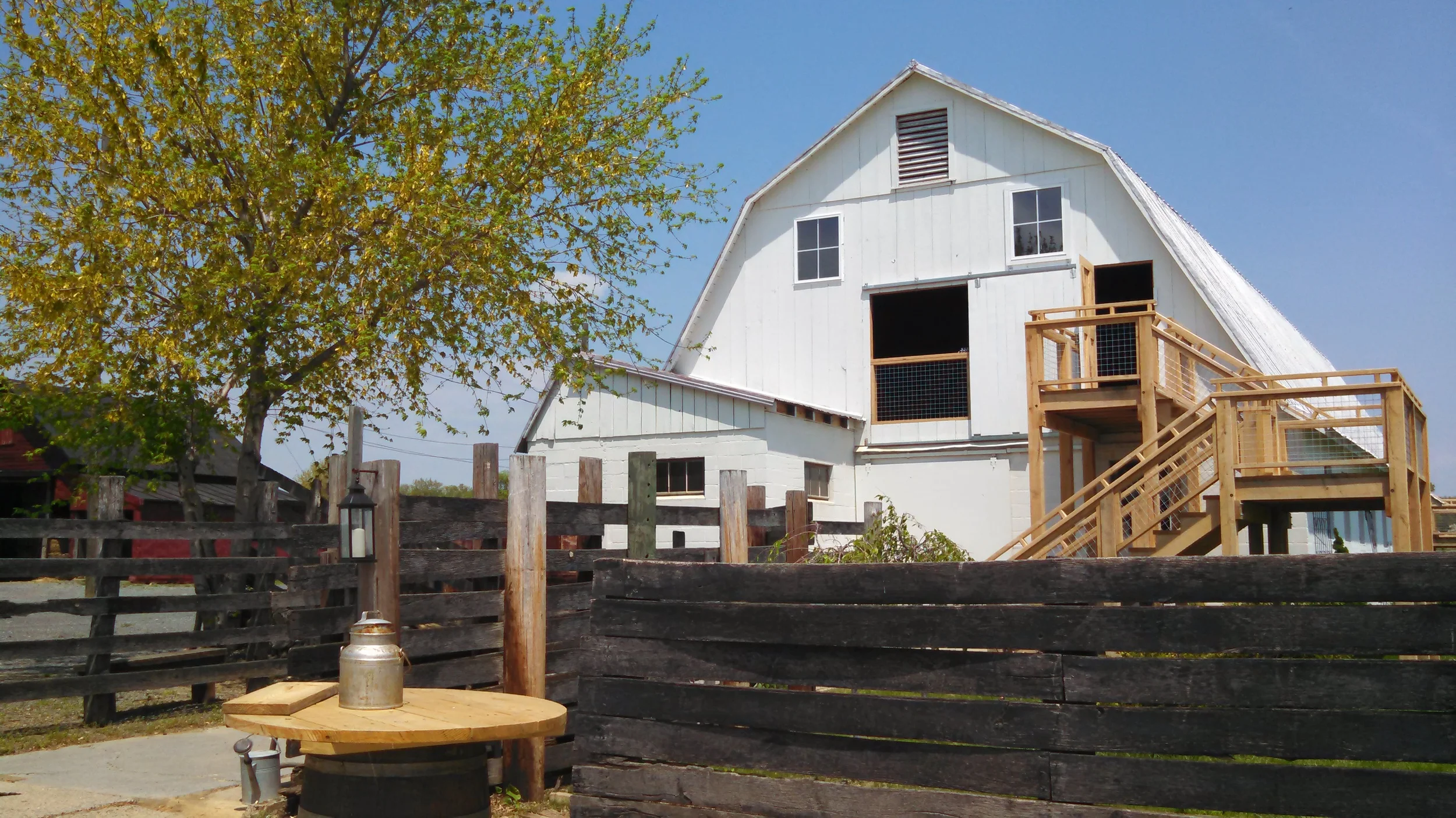 Down on the farm at East Lynn