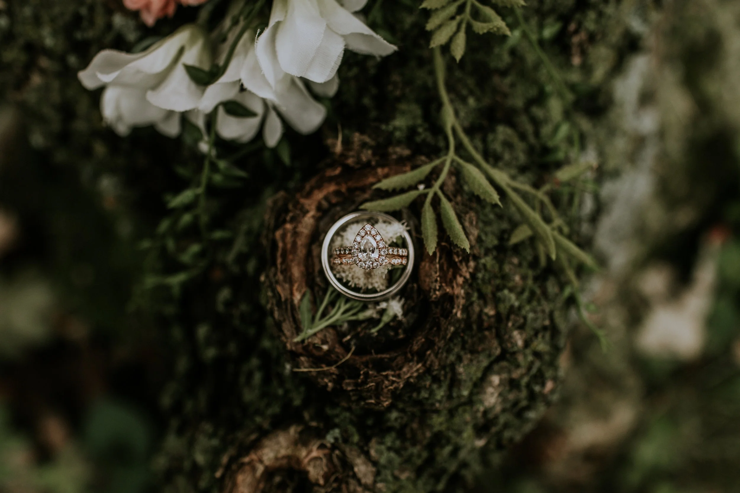 Real Wedding Features