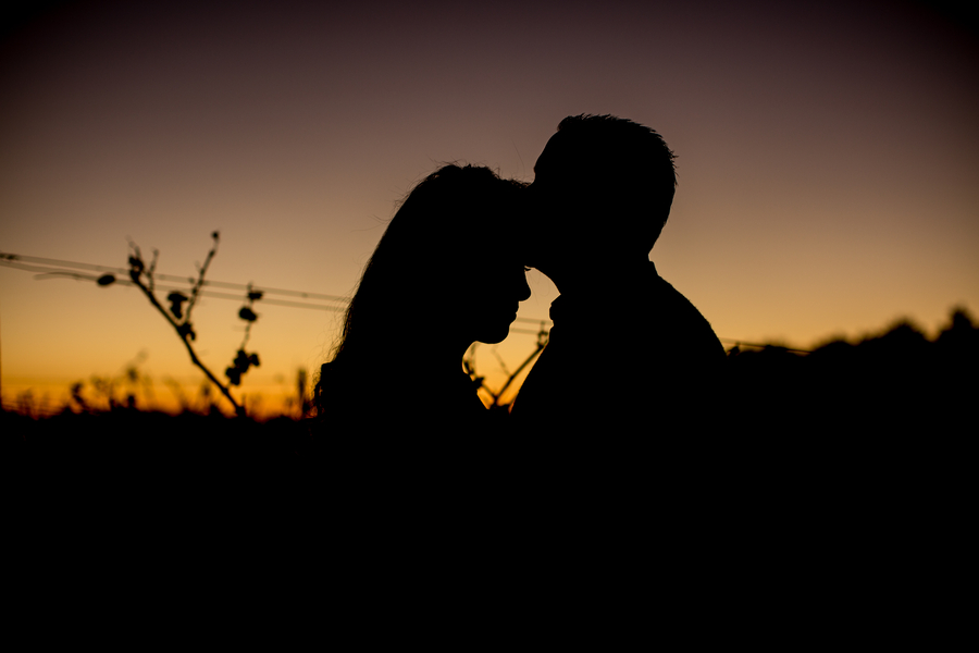 Abraham_Rabadi_NOVAESPHOTOGRAPHY_HosamRozanaEngagementSession219_low.jpg