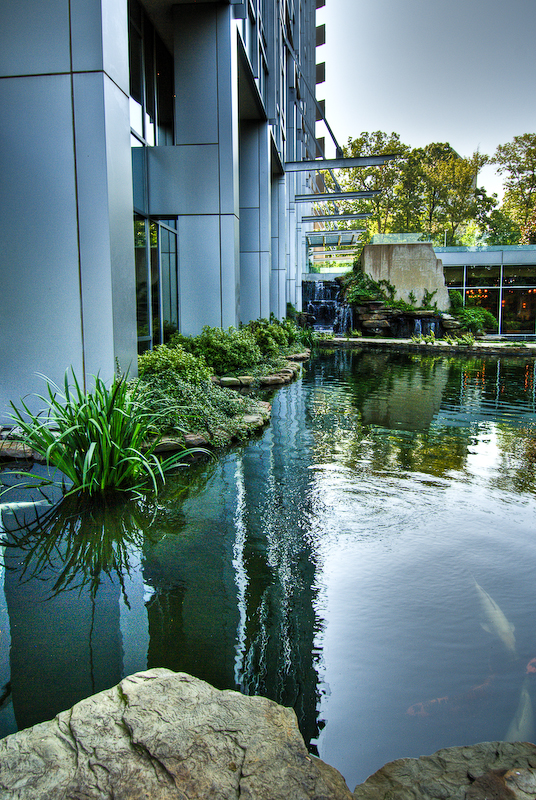 2941 HDR (7 of 8).jpg