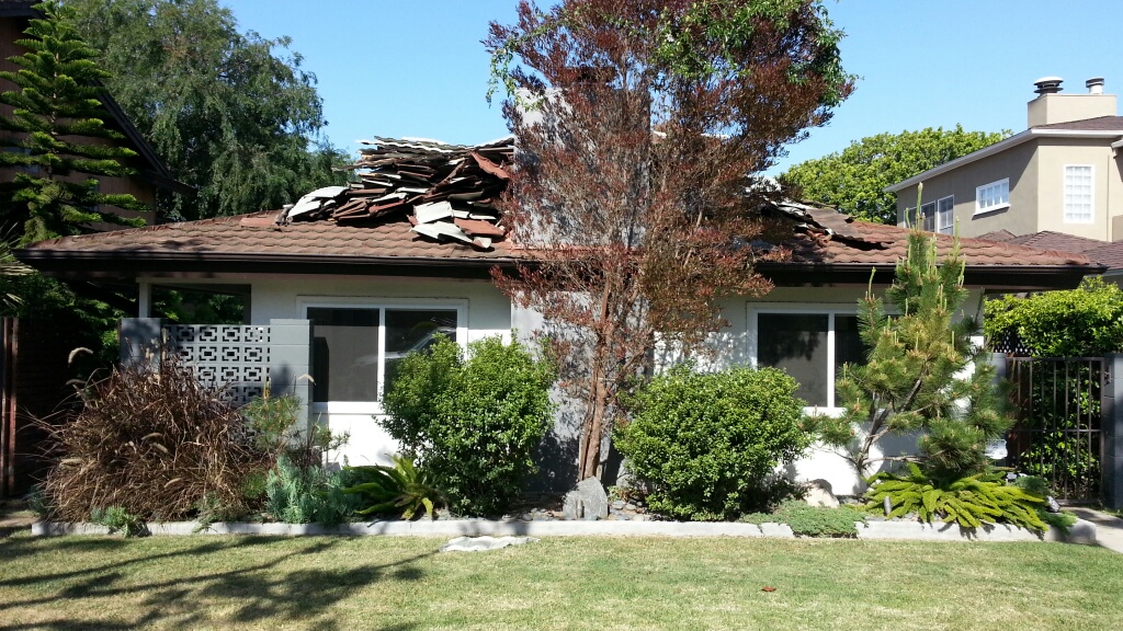 20140414_092327_resized_1.jpg