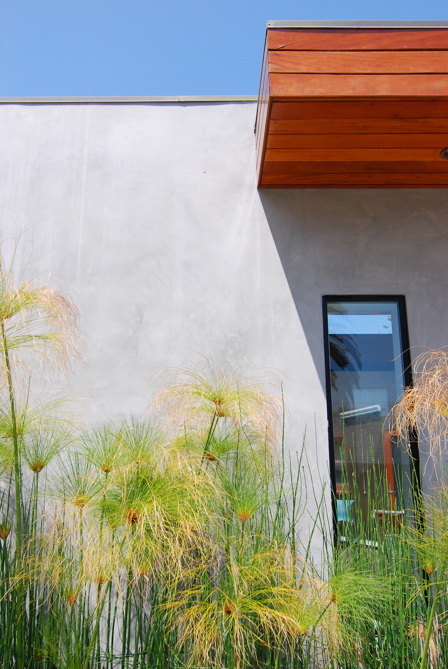 Courtyard_3.jpg