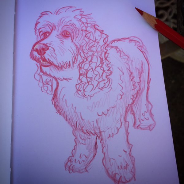 Bella Pencil Sketch