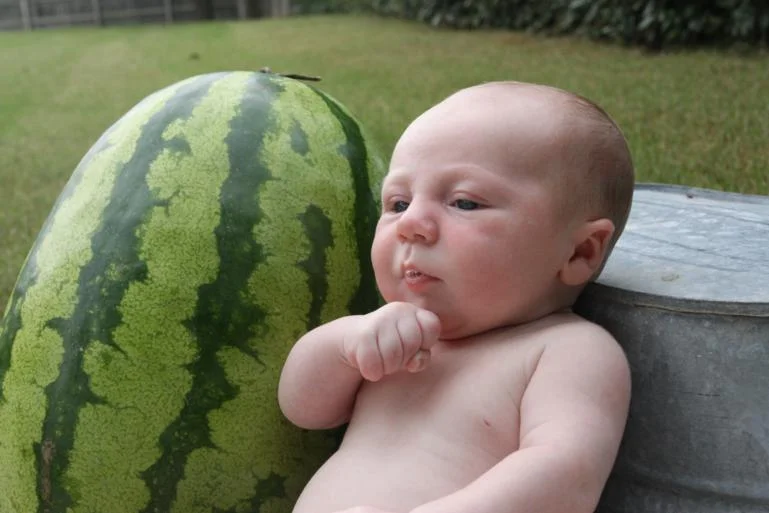 Watermelon = July? I think Katie Wynn's July picture had a watermelon with this galvanized tin too so I was trying to have it kinda match. He was so tiny though and couldn't sit up and it was too bright for him to really open his eyes. Ugh...I did I mention it was like a hundred degrees? I gave up quickly.