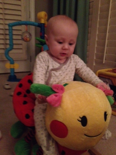 Matt and I both agreed that seeing him sitting on top of Lulu the Ladybug made him look WAY too big!