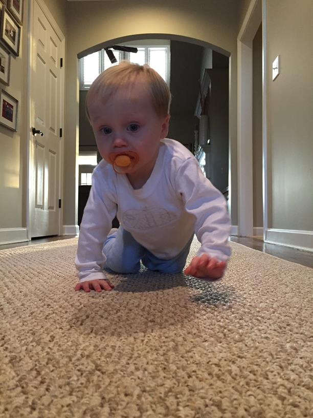 It passes the crawl test!
