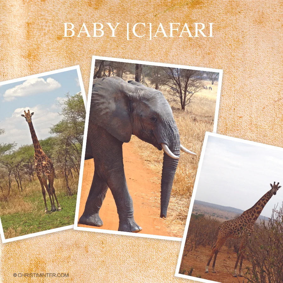 CreativeCaptured_SafariGraphic.jpg