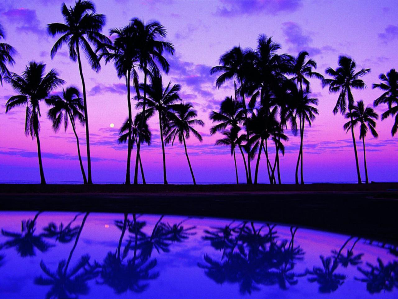 Purple Sunset.jpg