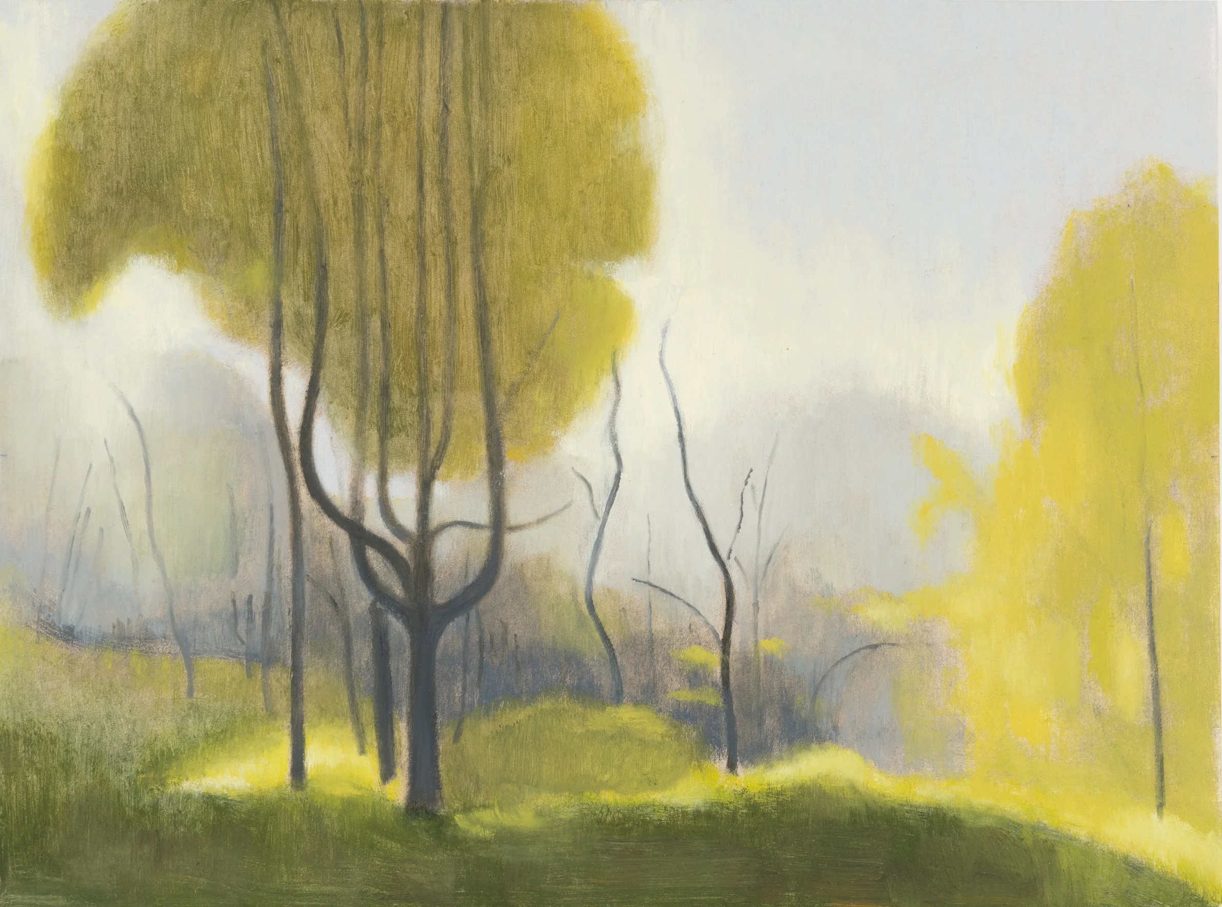 Woods at Hilltop , 2017, oil on panel, 9 x 12 inches