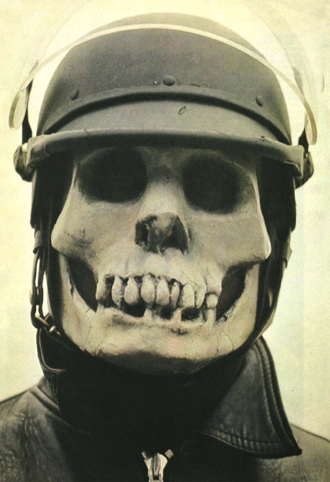cycleskull.jpg