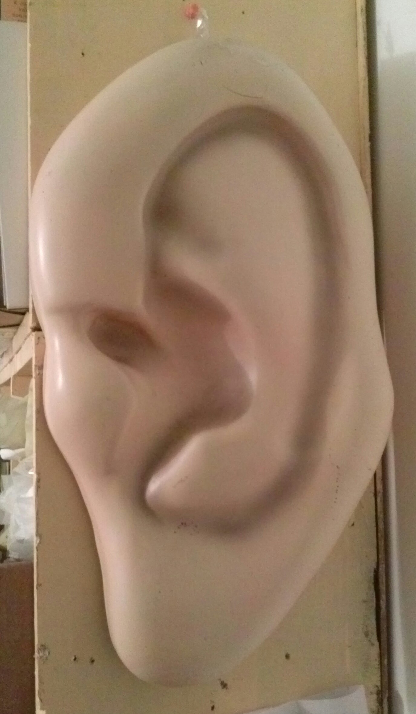 Earwax Mascot 1