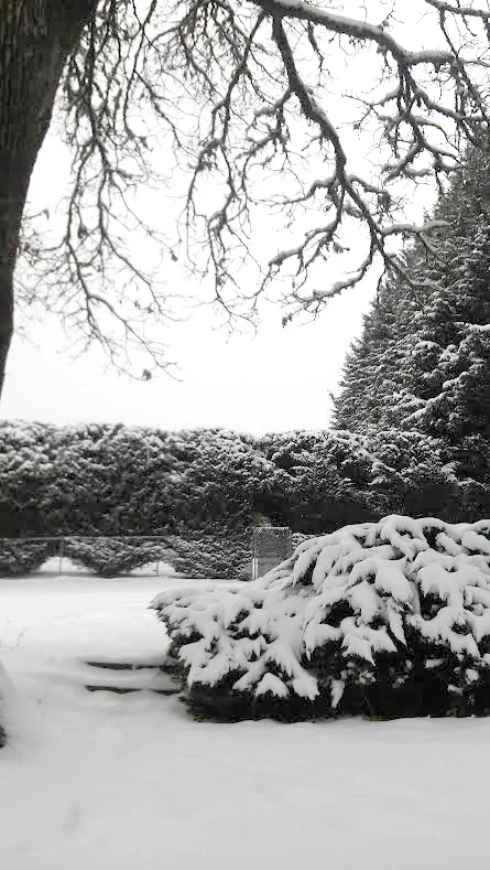 TheObjectStudio_SnowDay.jpg