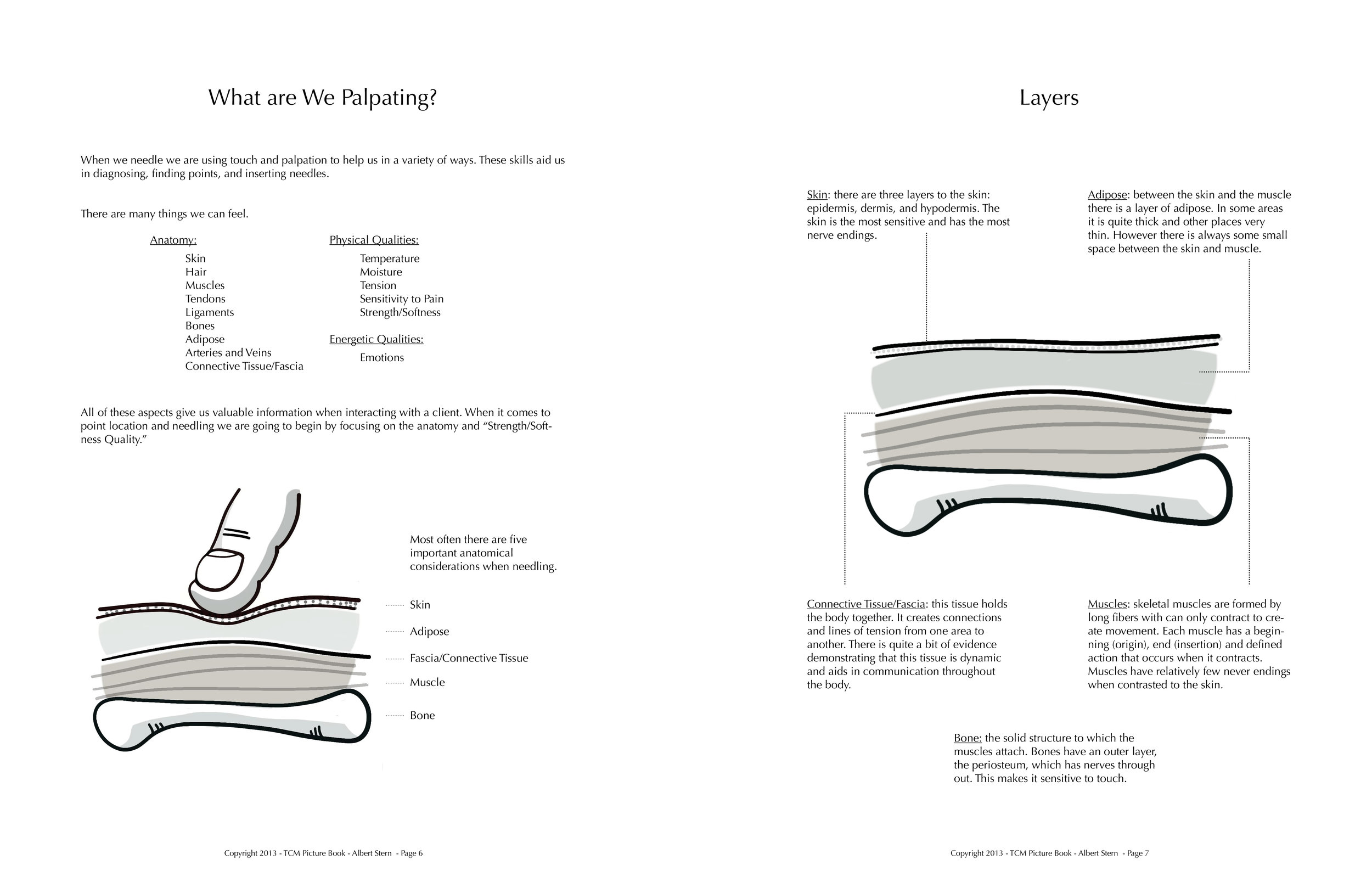 Big Picture Book of Point Location Palpating