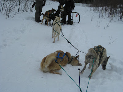 IMG_9230.JPG
