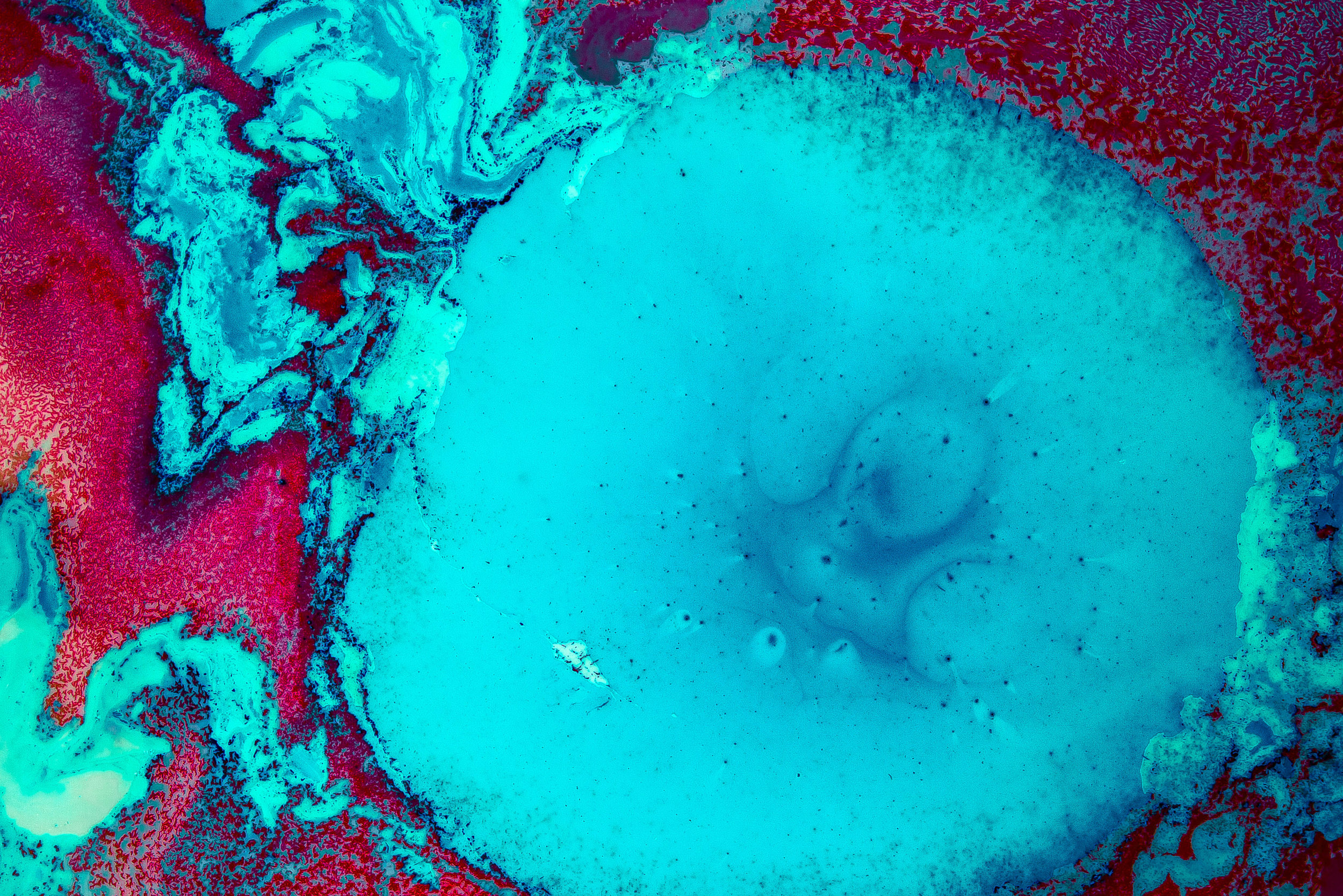 Last Days Are Magical*