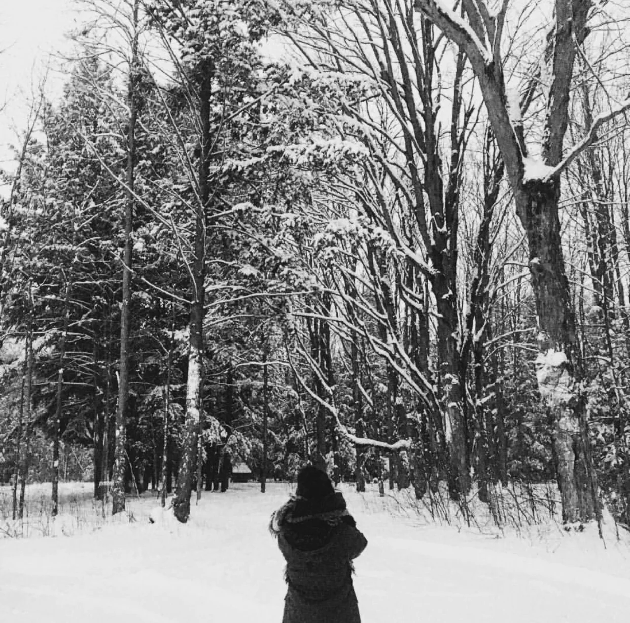 Part I: The Vipassana Experience