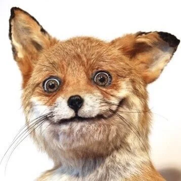 Me when I&rsquo;ve gone too long without therapy. I just noticed I haven&rsquo;t talked to my therapist (OR AN ASTROLOGER) since before the holidays. That&rsquo;s great that I feel so good and sure of things in my life, I&rsquo;m still feeling like I
