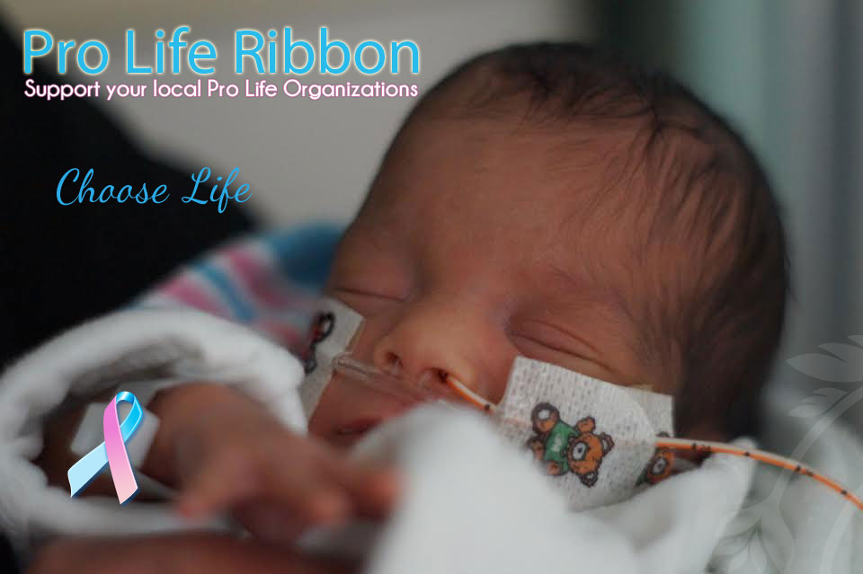 Pro Life Ribbon featured photo