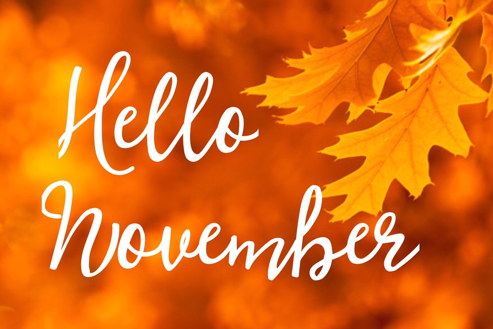 Hello November! — Studio Lott