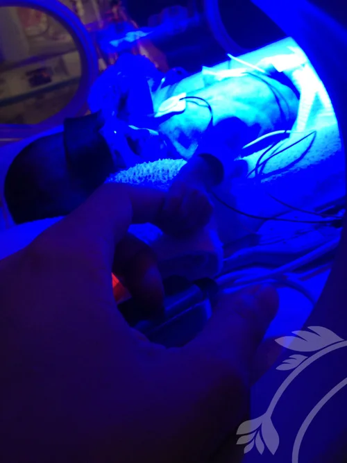 so tiny and warm under the UV light