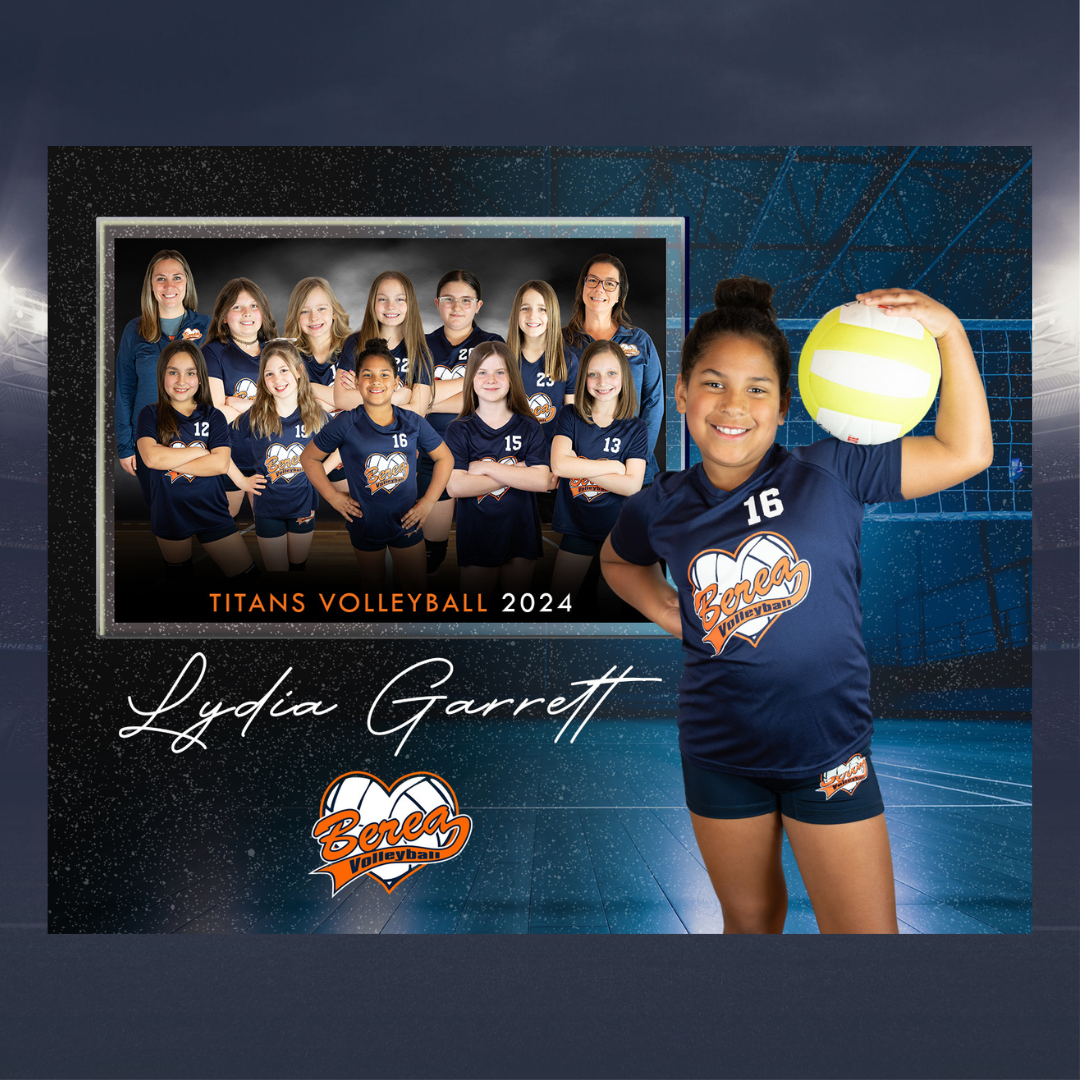 volleyball memory mate.png