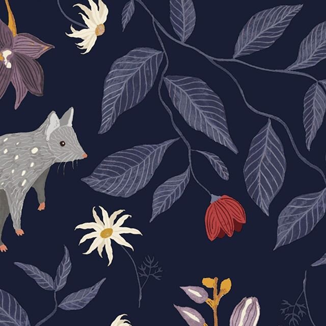 Work in progress...quolls and flannel flowers #australianflora #flowerpainting #australianfauna #quoll #flannelflower #fabricdesigner #workinprogress &copy;️Anne Waters