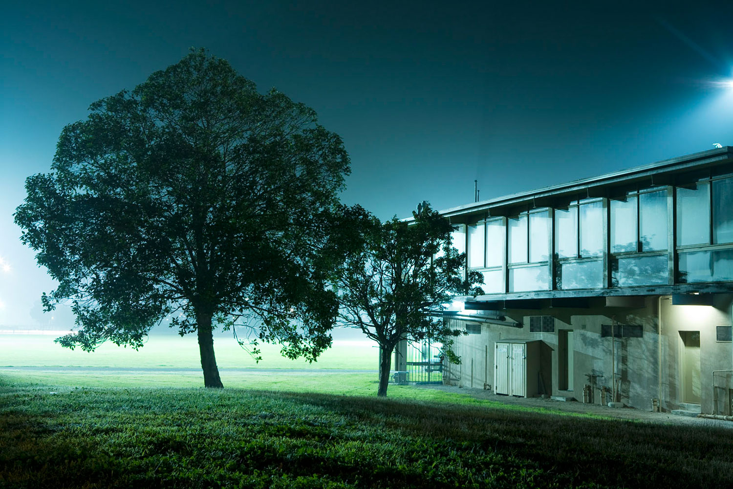 Albert-Park-night.jpg