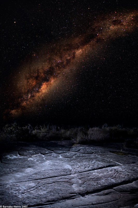 'Emu in the Sky' - Read More