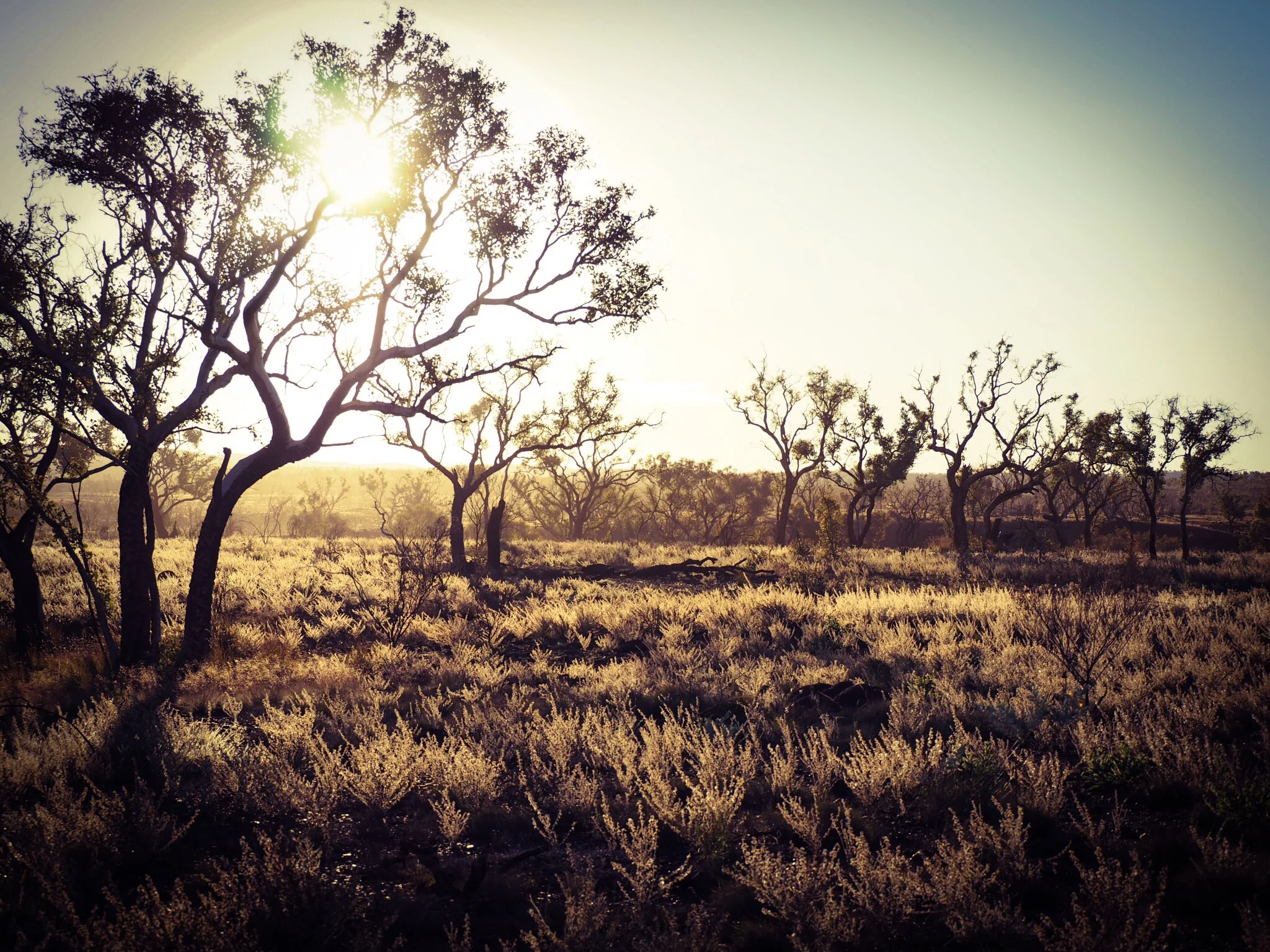 Sunset produces a golden hue on our first night