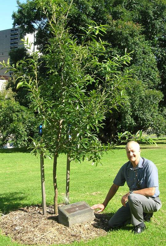 Colin and tree.png