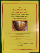 Book: The Exceptional Melbourne Cup Tavoy Burma 1942: Charles Lewis 2018 Edition