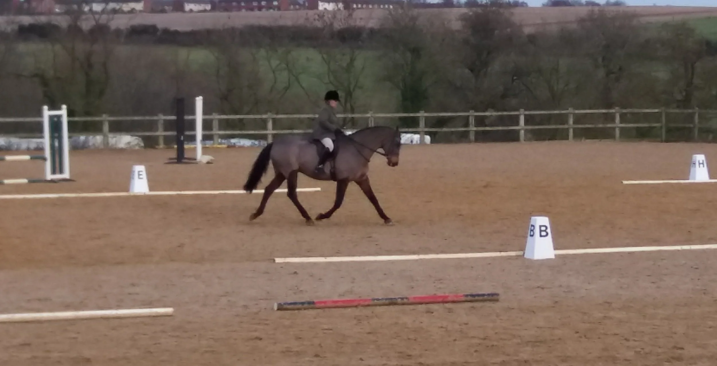 December dressage at Wittering. Rosemary and Royal Mail (Robin) showing their paces.