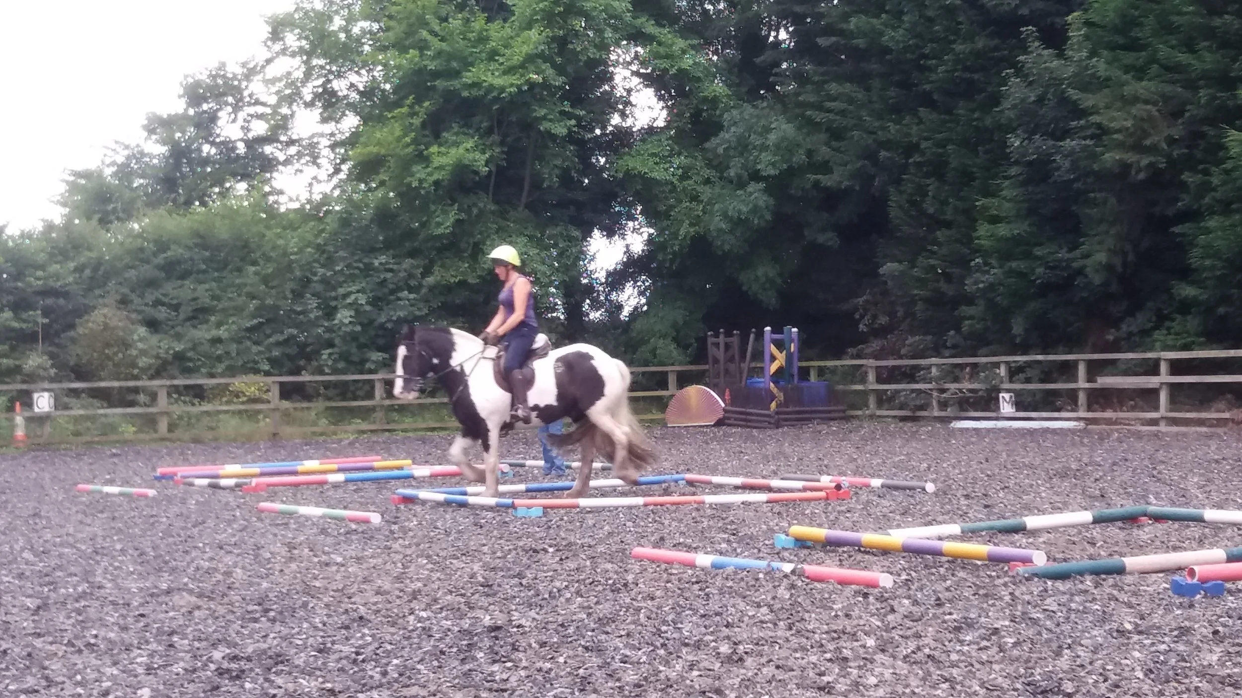 Equigym Clinic - Nicky and Trampas July 2017
