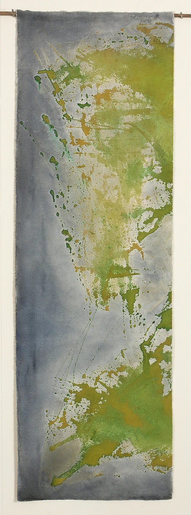 Amazonas VI