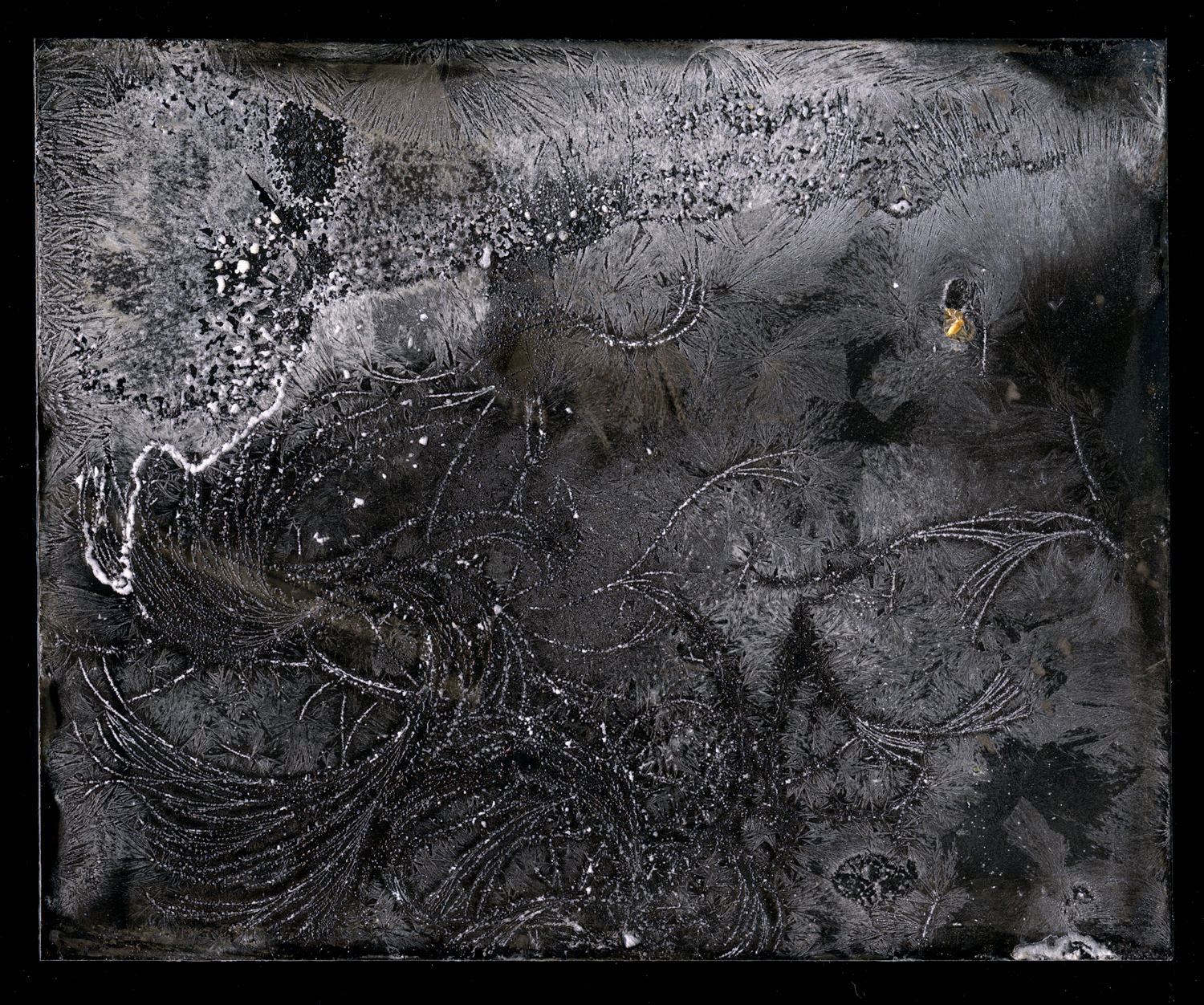 wetplate-scan089.jpg