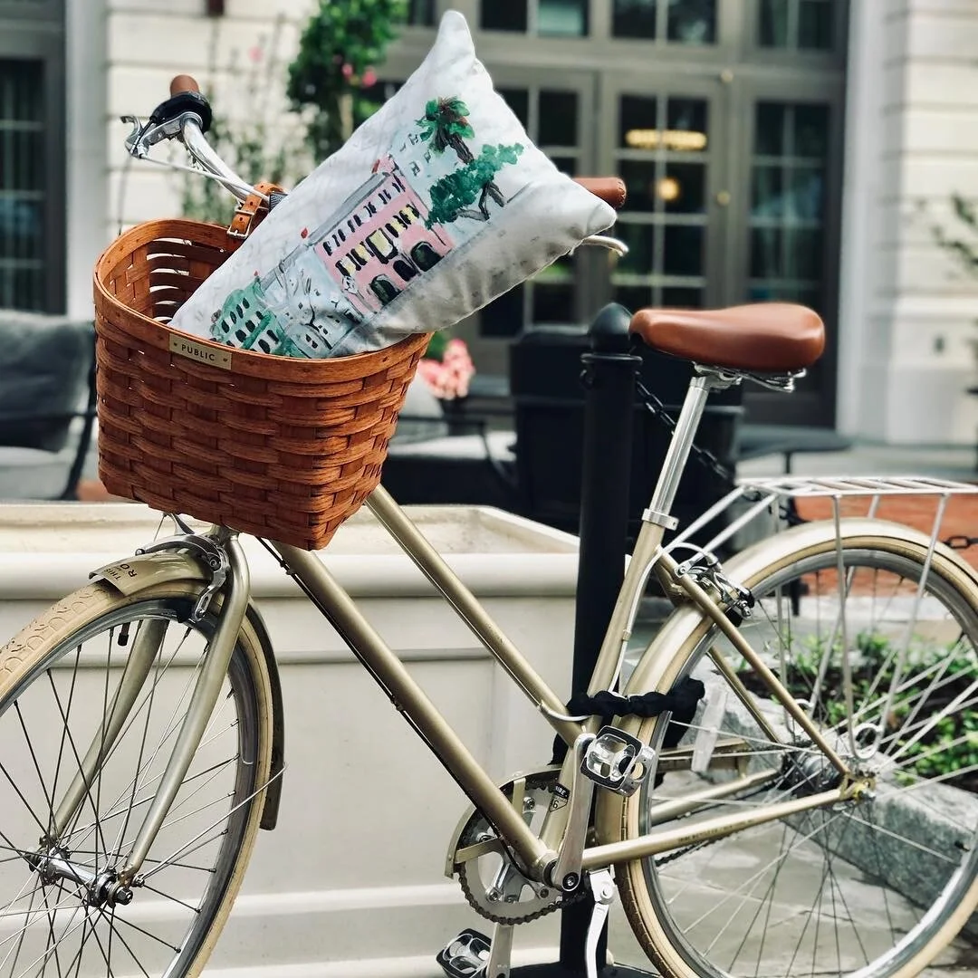 market bike with rainbow row pillow .JPG