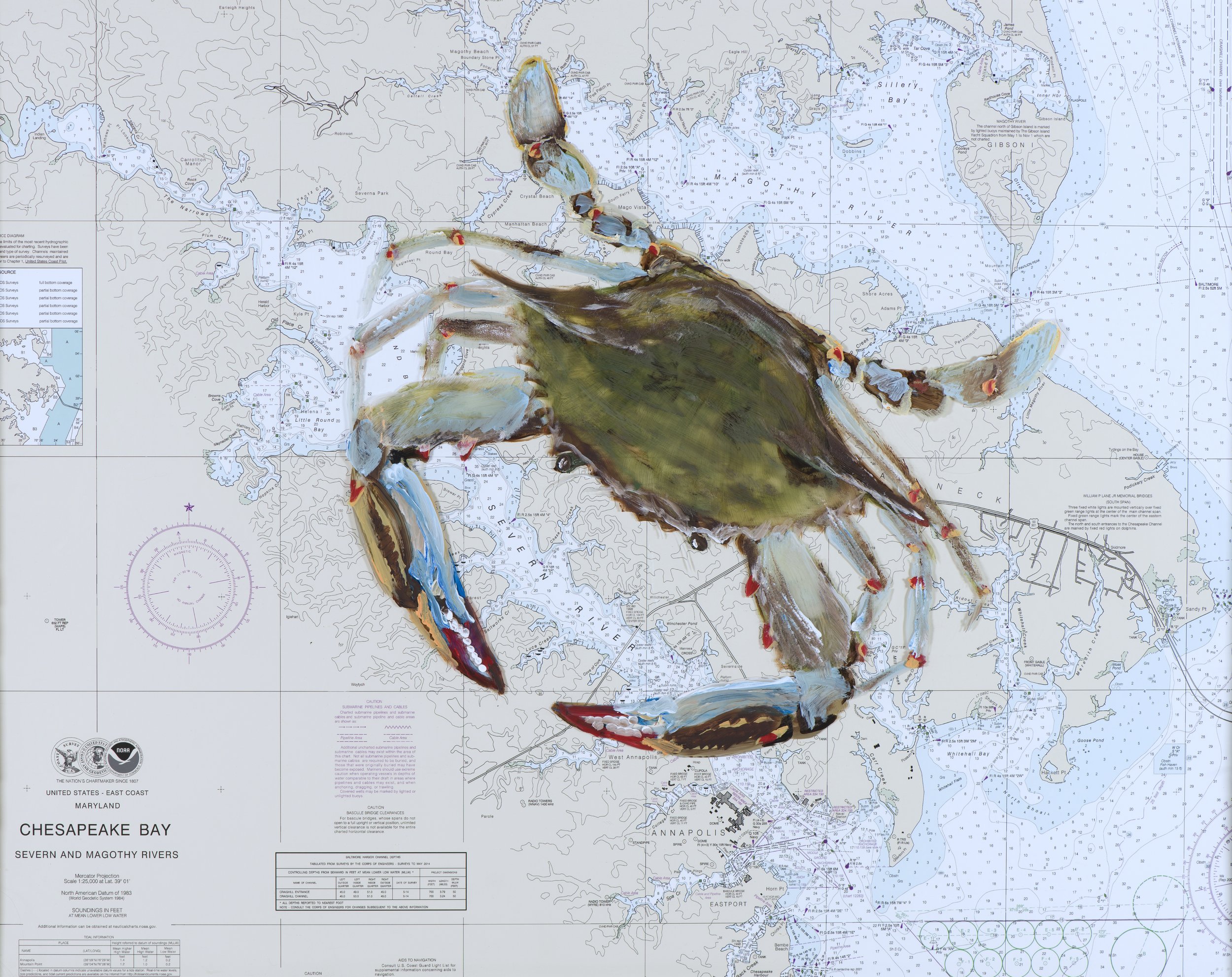 Blue Crab Chesapeake Annapolis MD BLUE edit .jpeg