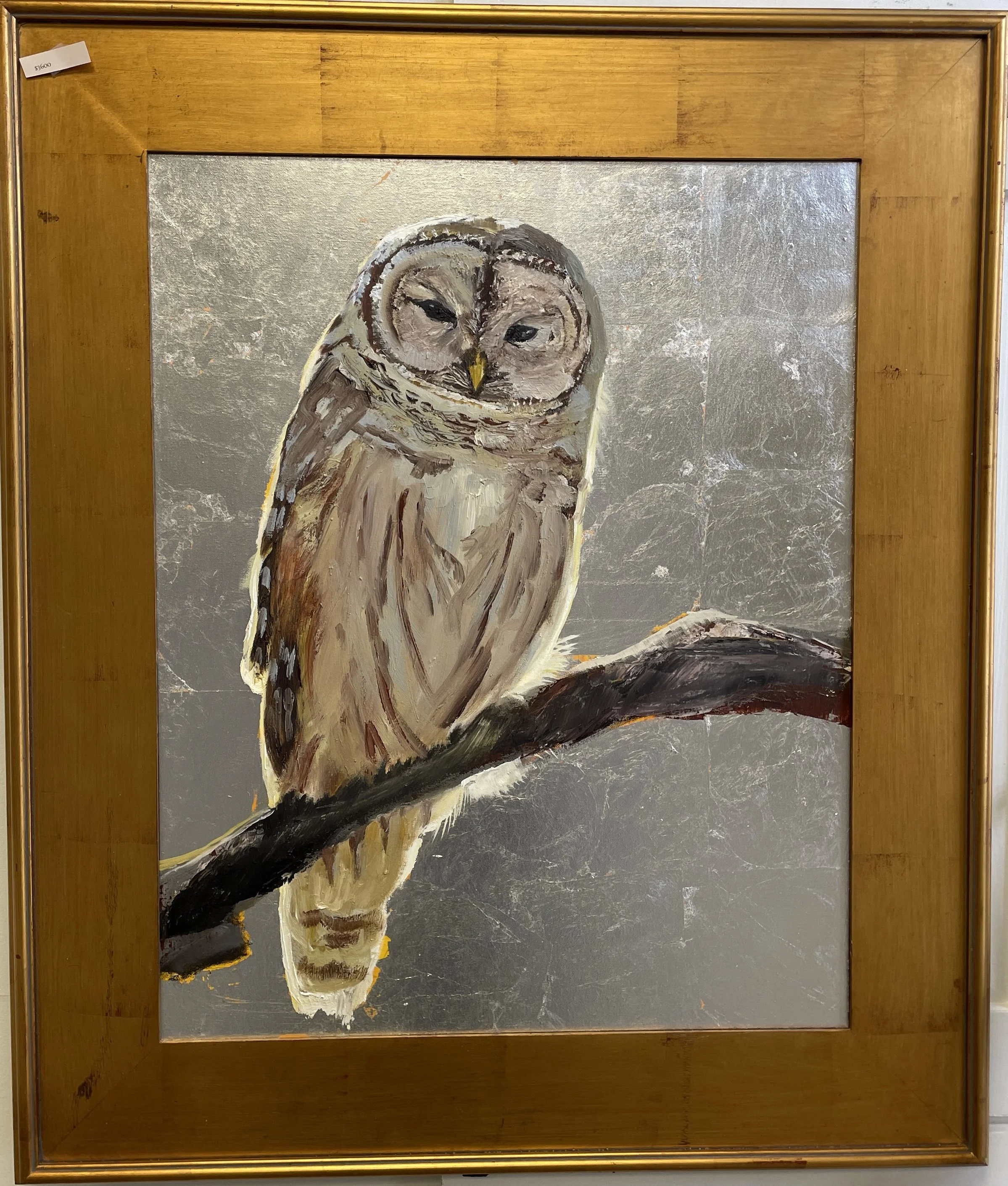 SOLD Good Omen (Barred Owl) — Amanda McLenon Fine Art