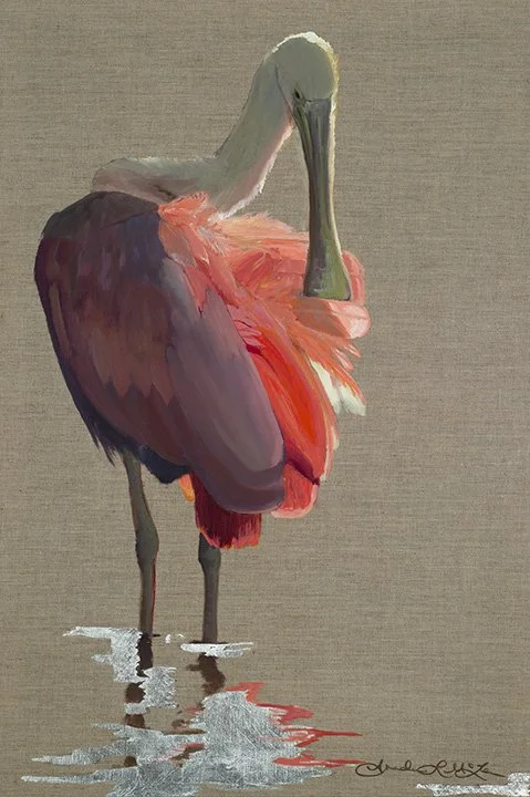 AmandaMcLenon_Chiaroscuro_spoonbill_36x24_oilsilverlinen_web.jpg