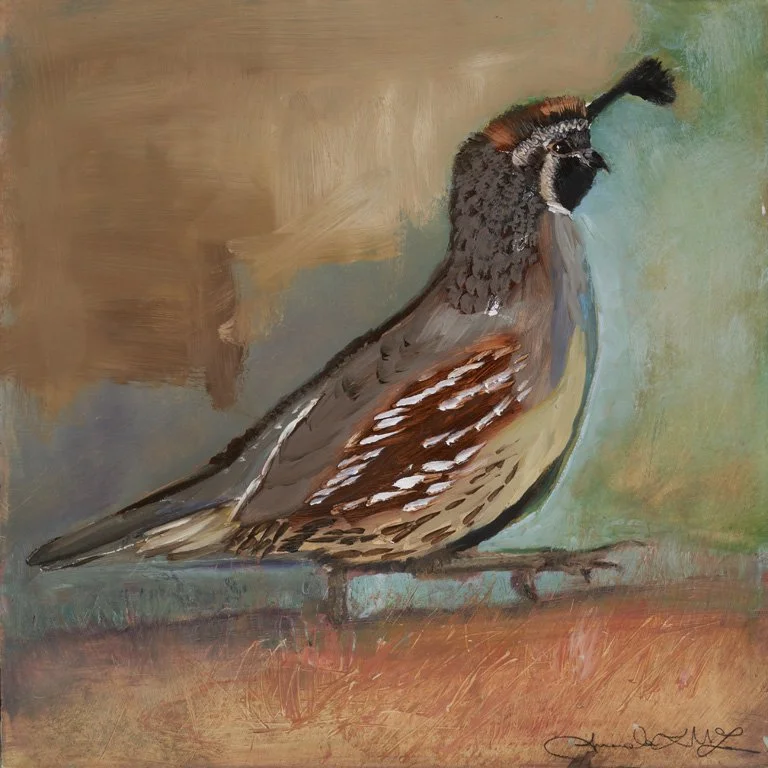 Gambrel's Quail