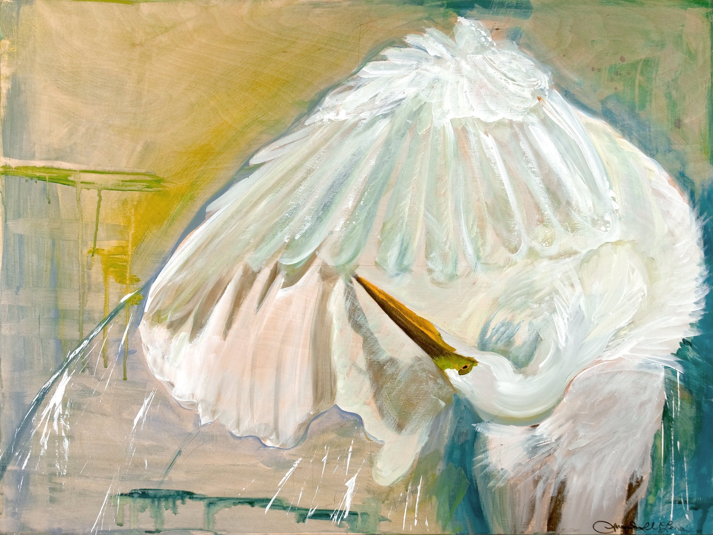 Technicolor Egret  1MB.jpg