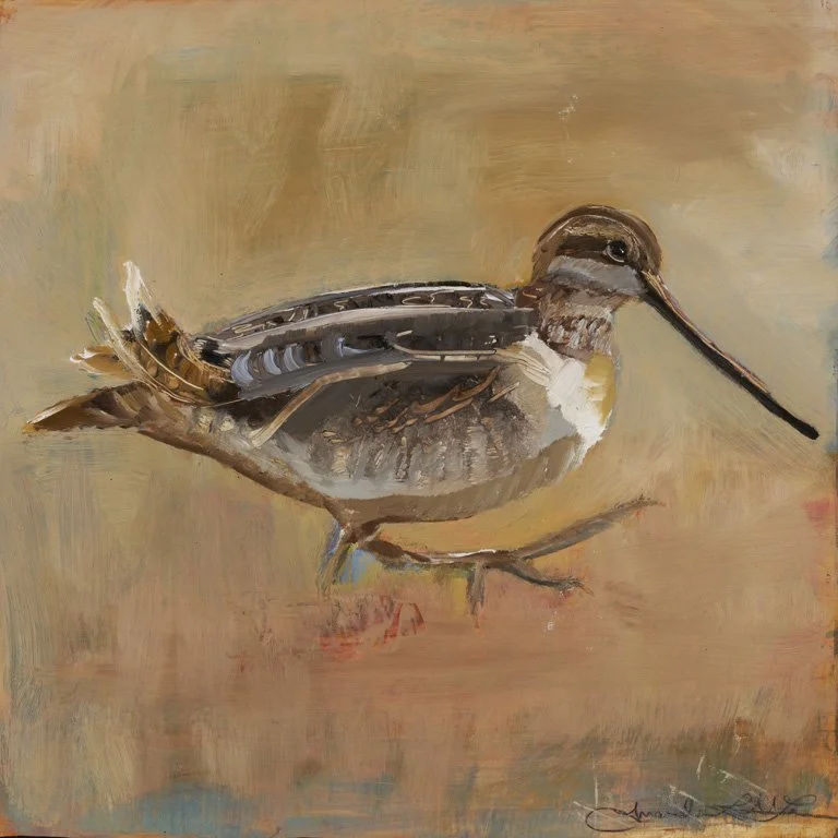 AmandaMcLenon_Snipe_12x12_oil_2026014_web.jpg