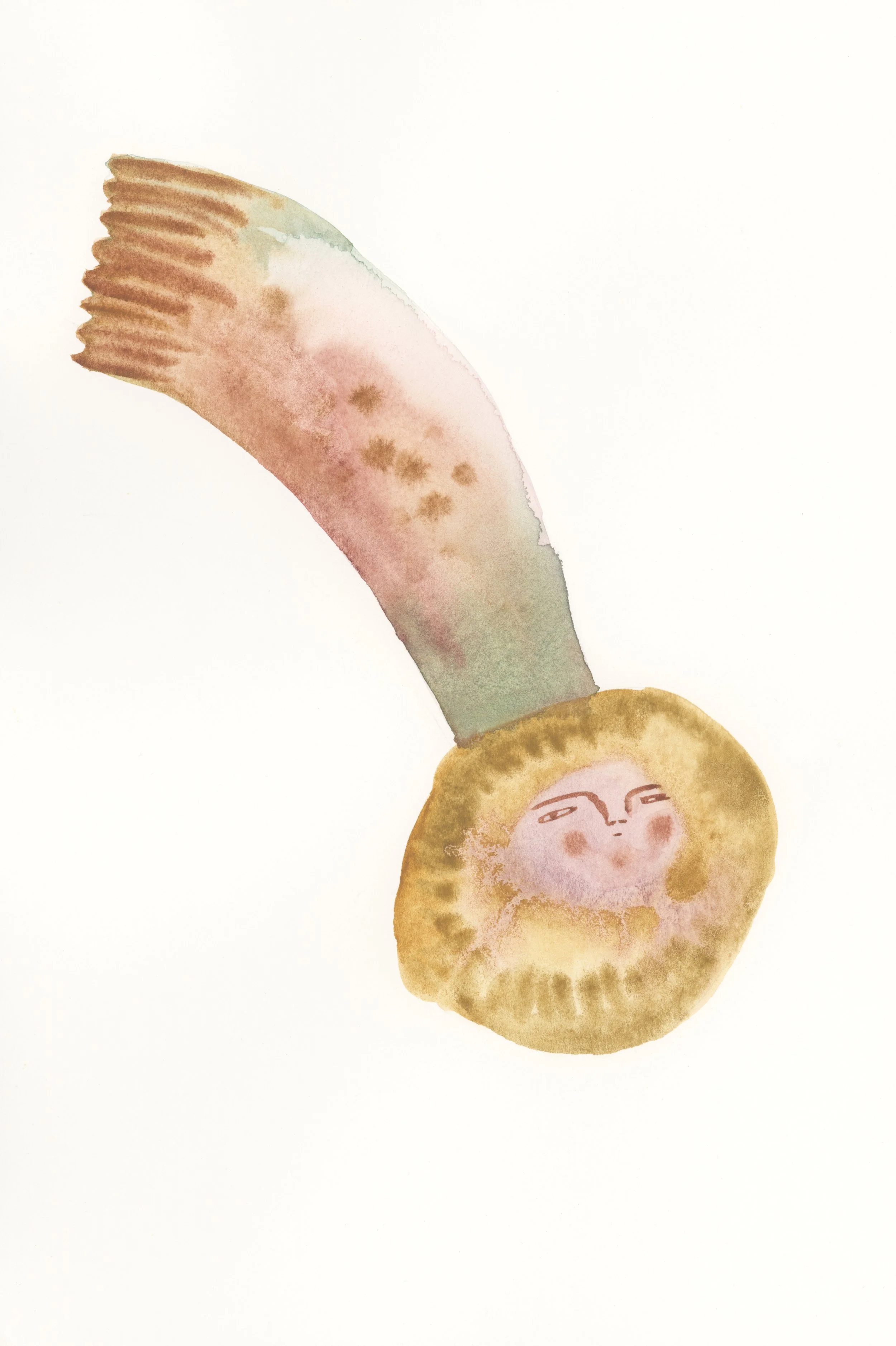 Comet_Lindsay Jordan Kretchun.jpg