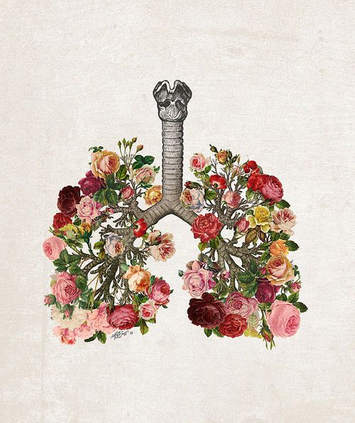 Image taken from Pinterest