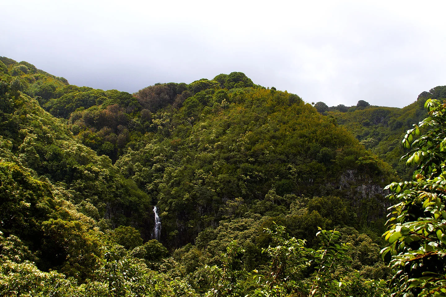 brian-wetzstein-hawaii-03.jpg