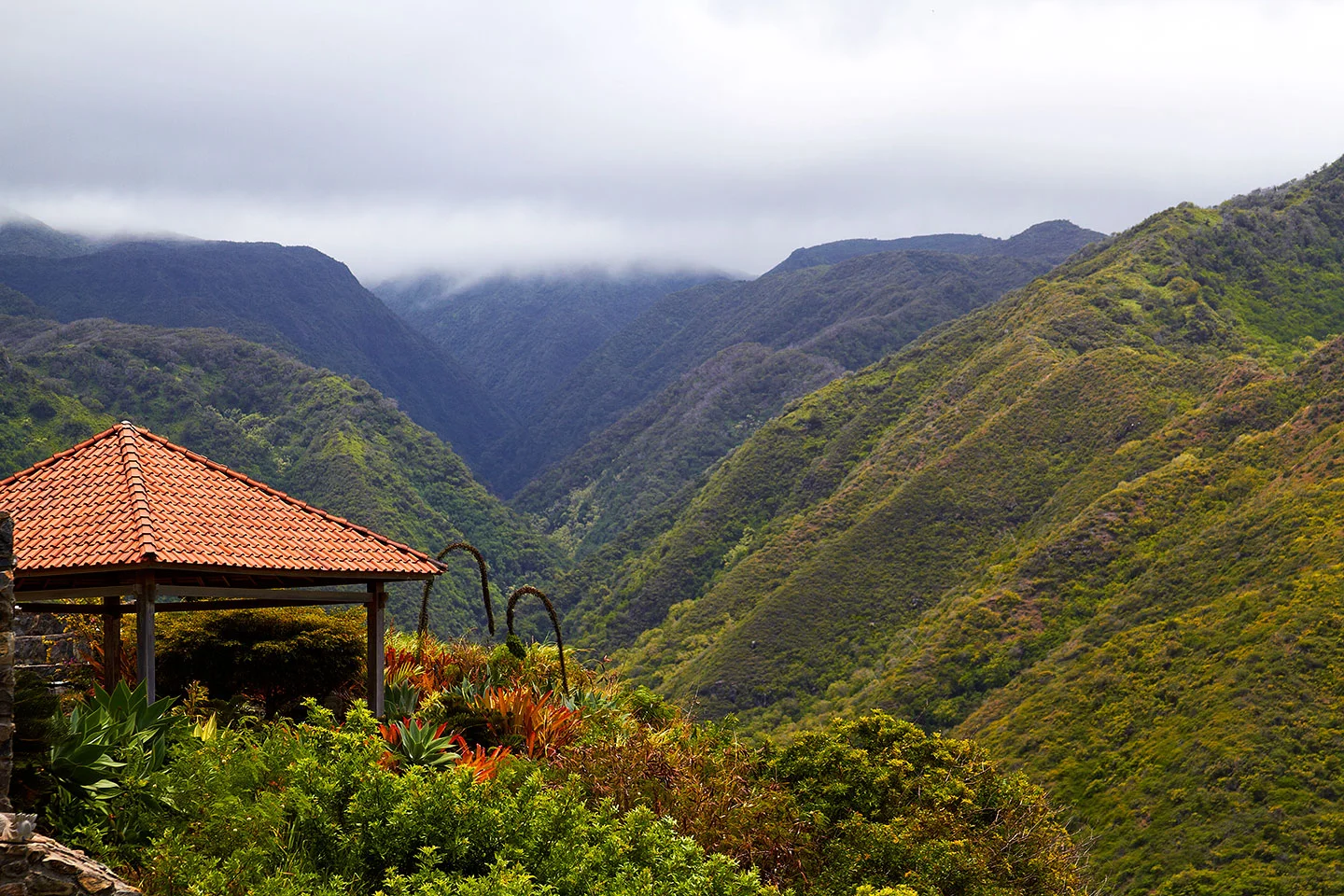 brian-wetzstein-hawaii-07.jpg