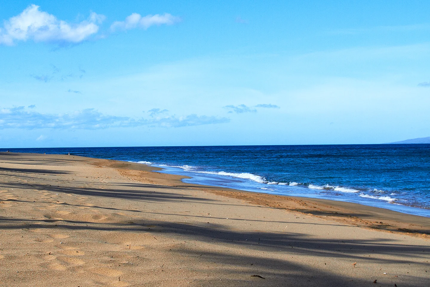 brian-wetzstein-hawaii-11.jpg