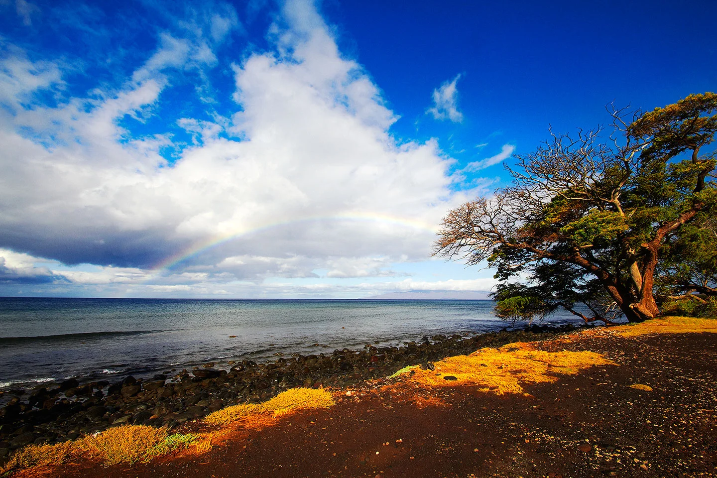 brian-wetzstein-hawaii-15.jpg